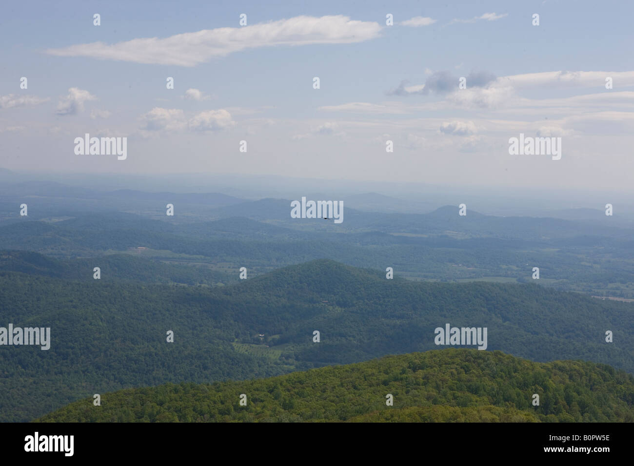 A bird soars above the Blue Ridge Mountains as viewed from the summit of Old Rag Mountain Shenandoah National Park Virginia USA Stock Photo