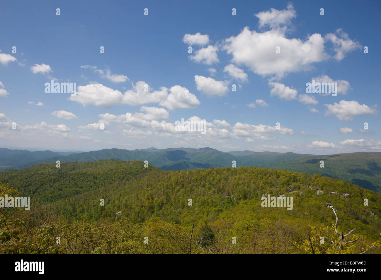 View of the Blue Ridge Mountains near the summit of Old Rag Mountain Shenandoah National Park Madison County Virginia May 2008 Stock Photo