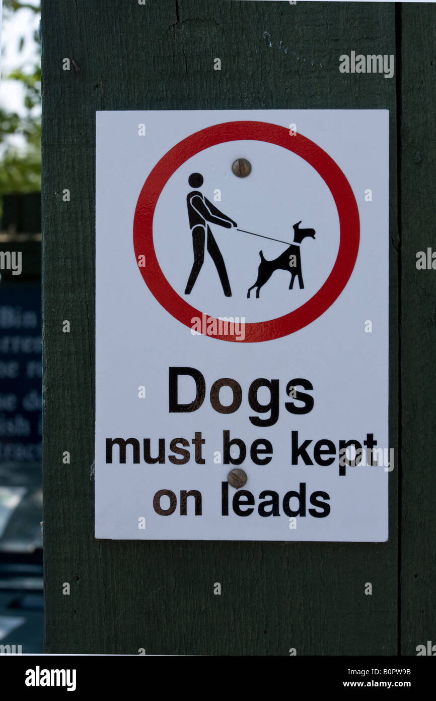 Should Dogs Be Kept On Leads