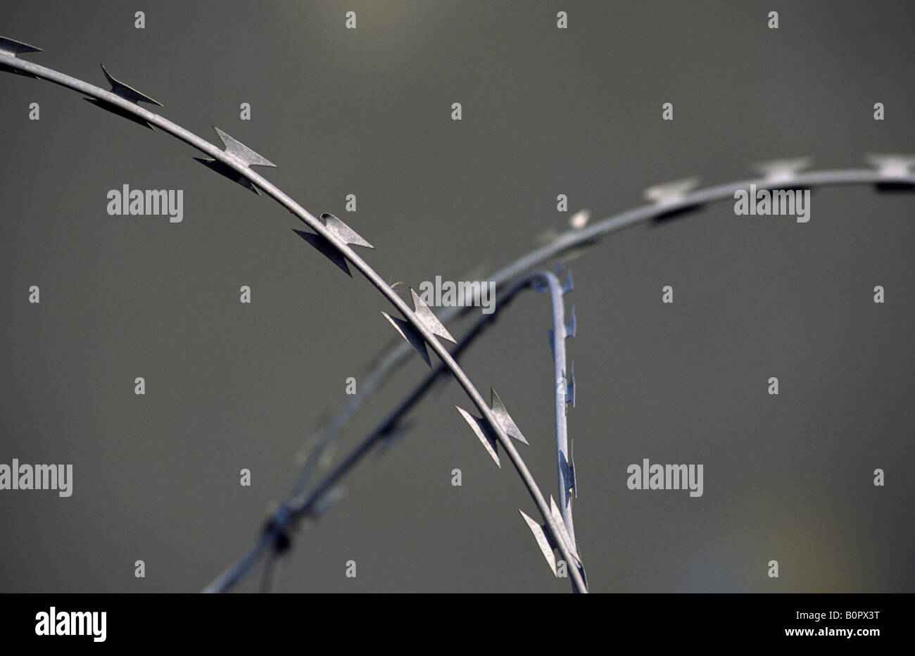 Barbed wire on the Berlin Wall. Germany Stock Photo Alamy
