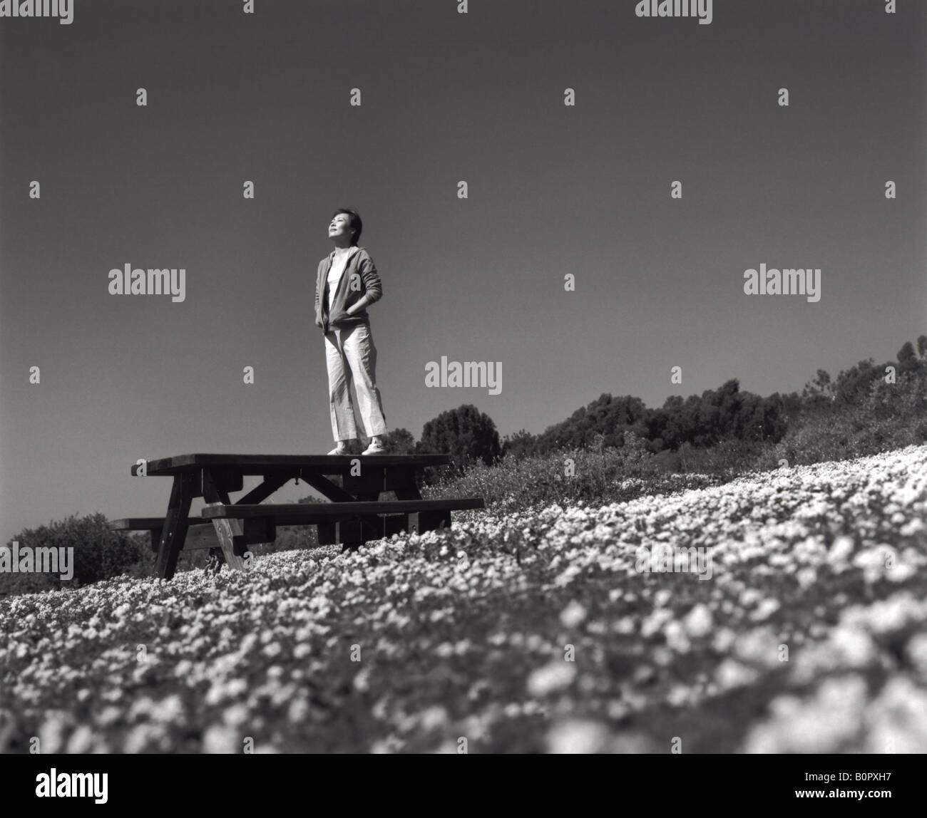 Black and white image of woman standing on picnic table in field of flowers Stock Photo