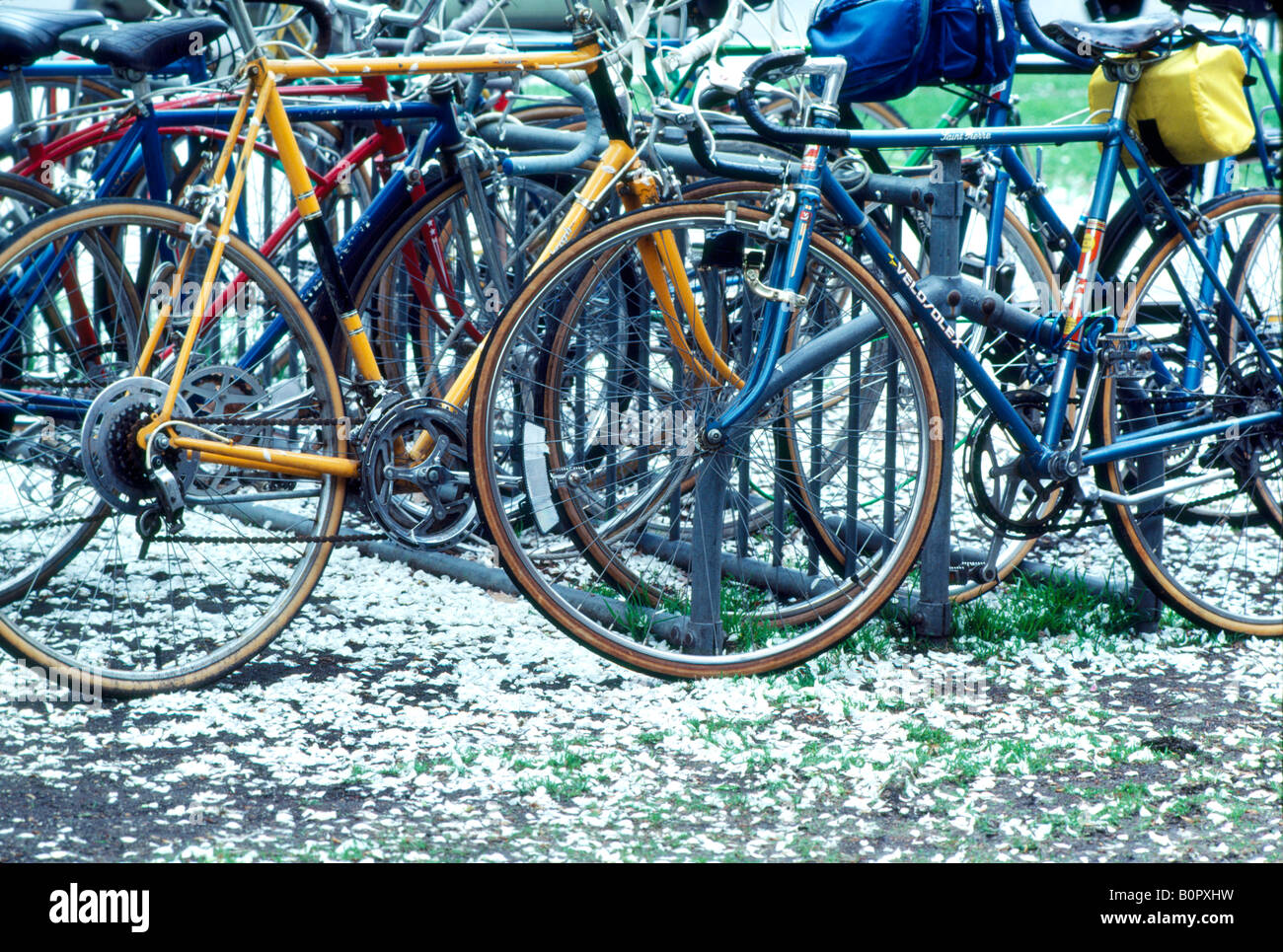 Bicycles at Dartmouth College Stock Photo