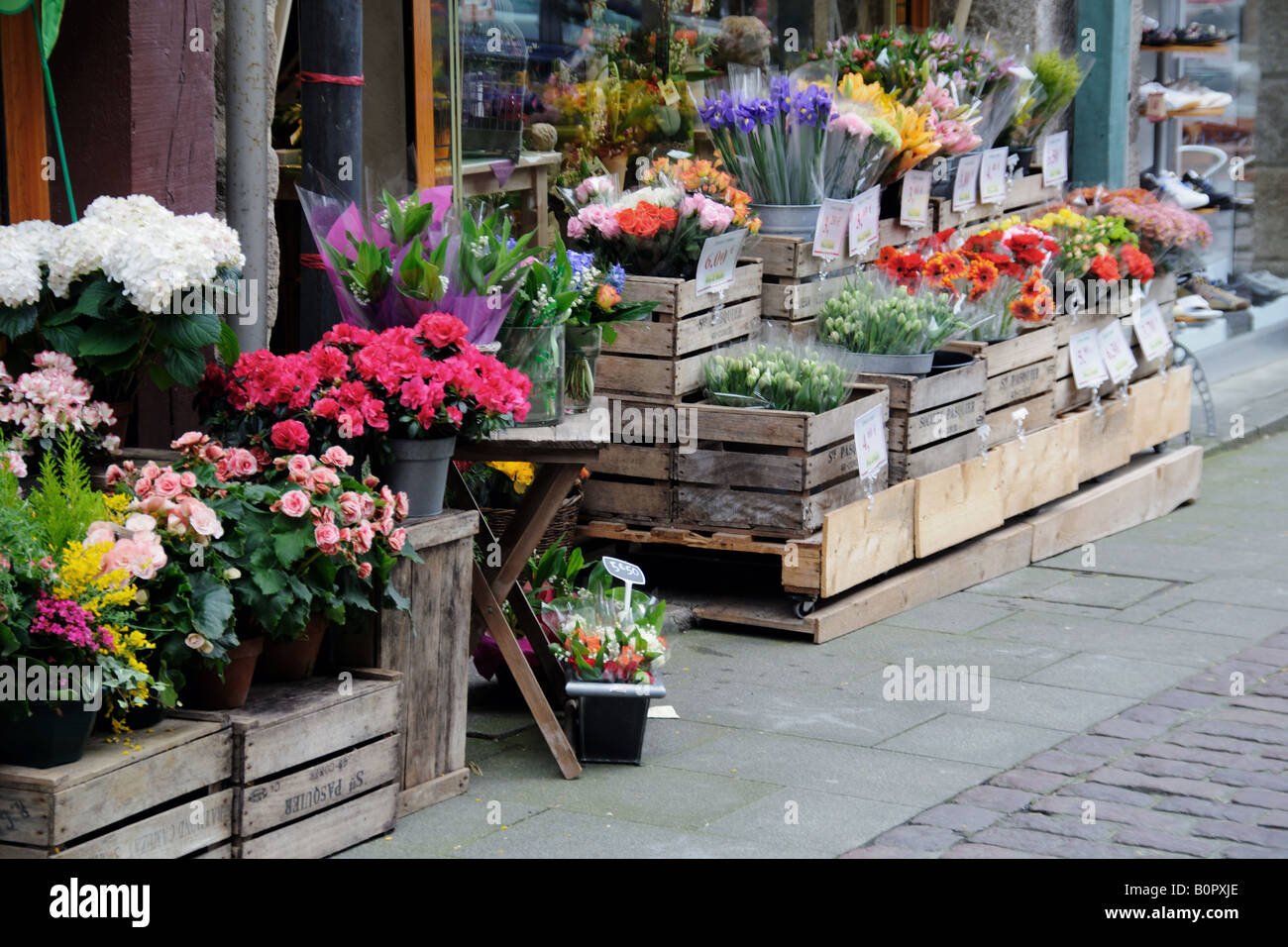 Flowers for sale at a shop in Dinan Brittany France Stock Photo Alamy