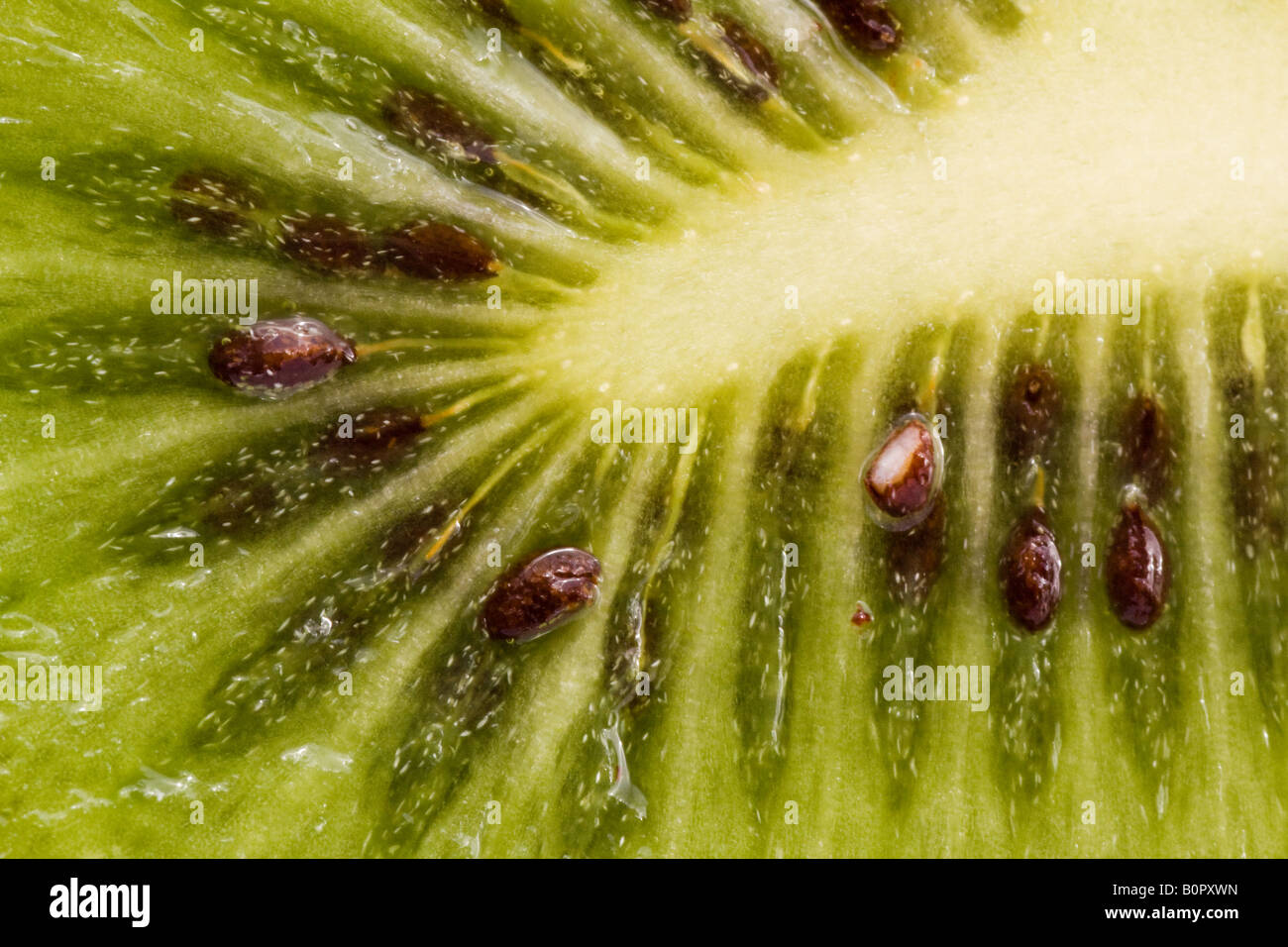 Close up kiwi cut hi-res stock photography and images - Alamy
