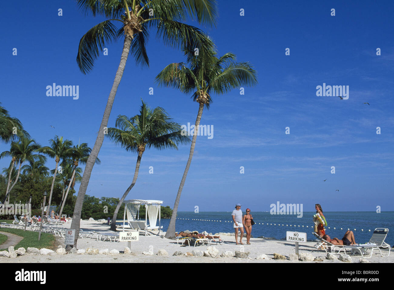 Garden Cove Key Largo Florida Keys Florida USA Stock Photo