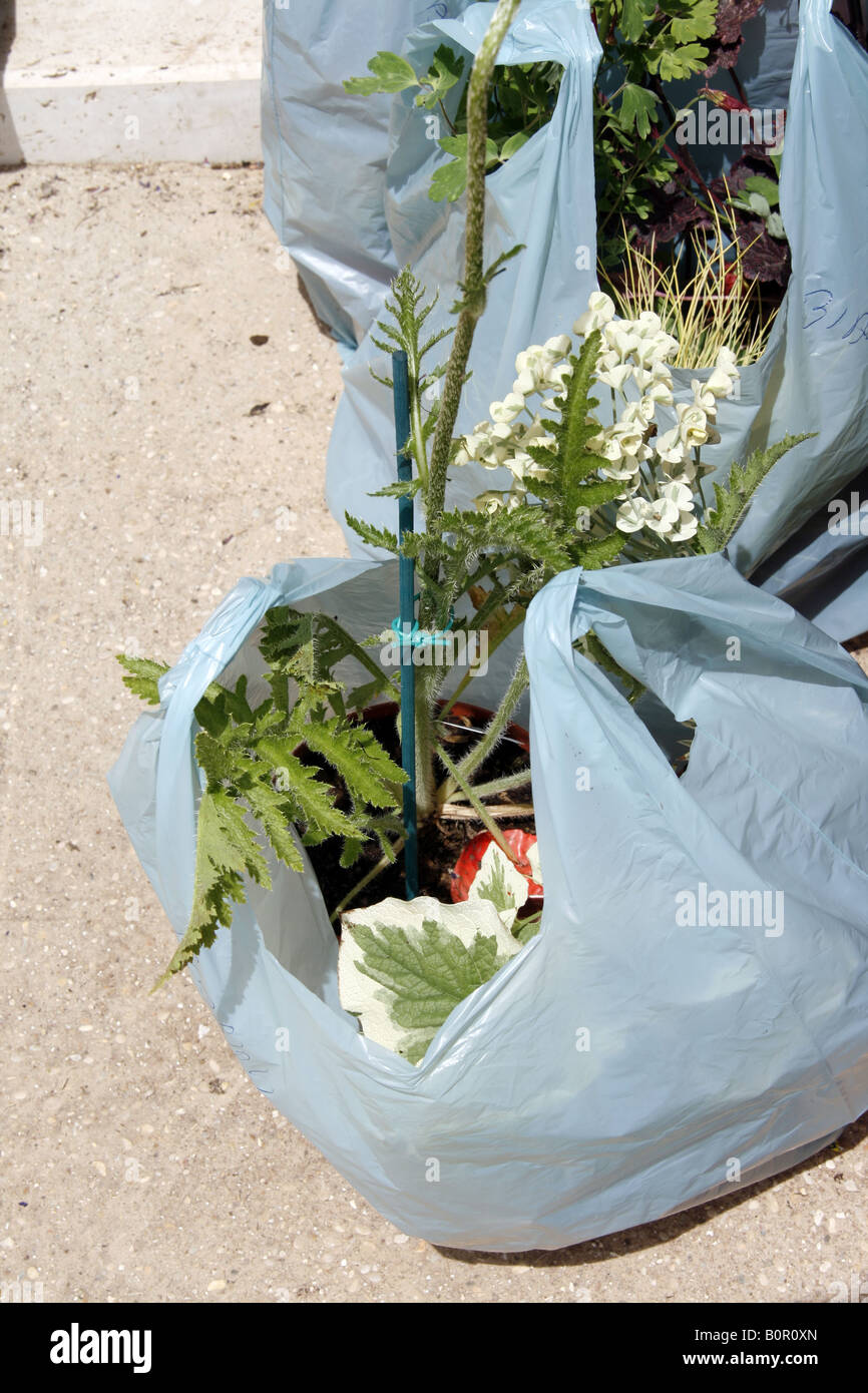 Selection of plastic carrier bags hires stock photography and images