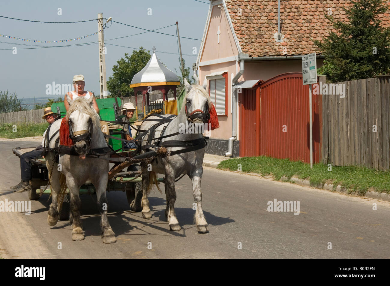 Countrymen driving a horse cart Stock Photo Alamy