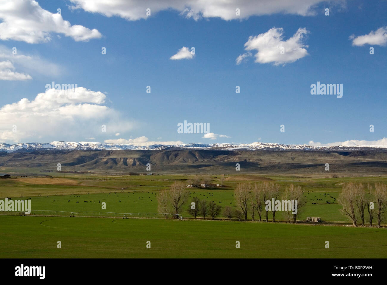 Farm near King Hill Idaho Stock Photo Alamy