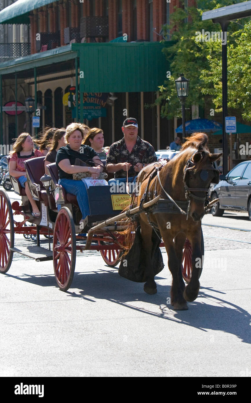 Horse and carriage ride in the Strand District of downtown Galveston