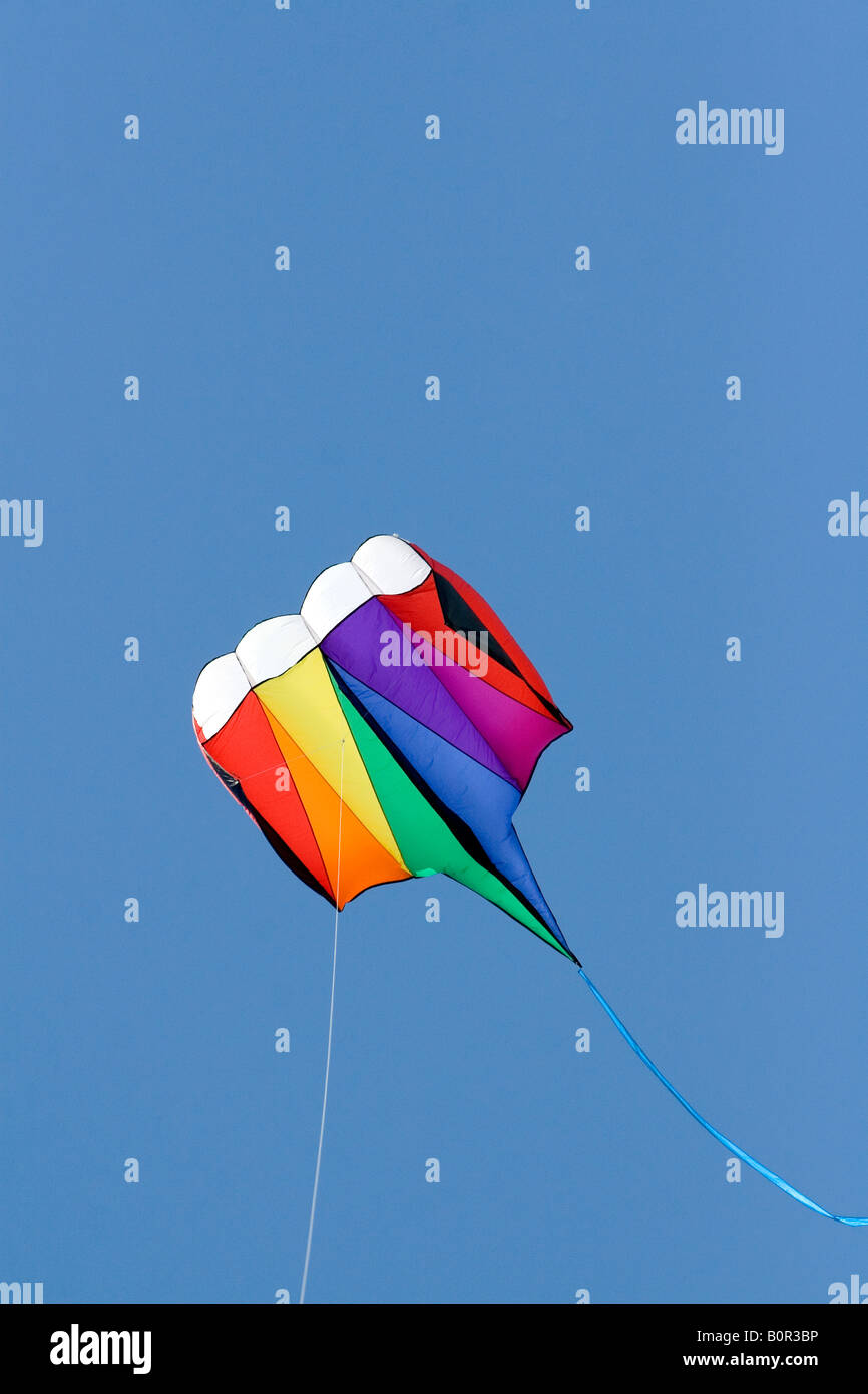 Kite flying in a blue sky at Galveston Texas Stock Photo Alamy