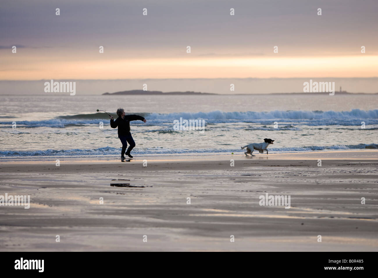 Woman throwing ball for her dog on beach at dawn against a backdrop of