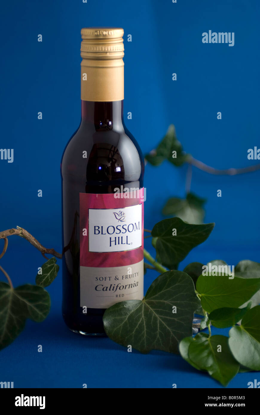 Red wine bottle display Stock Photo Alamy