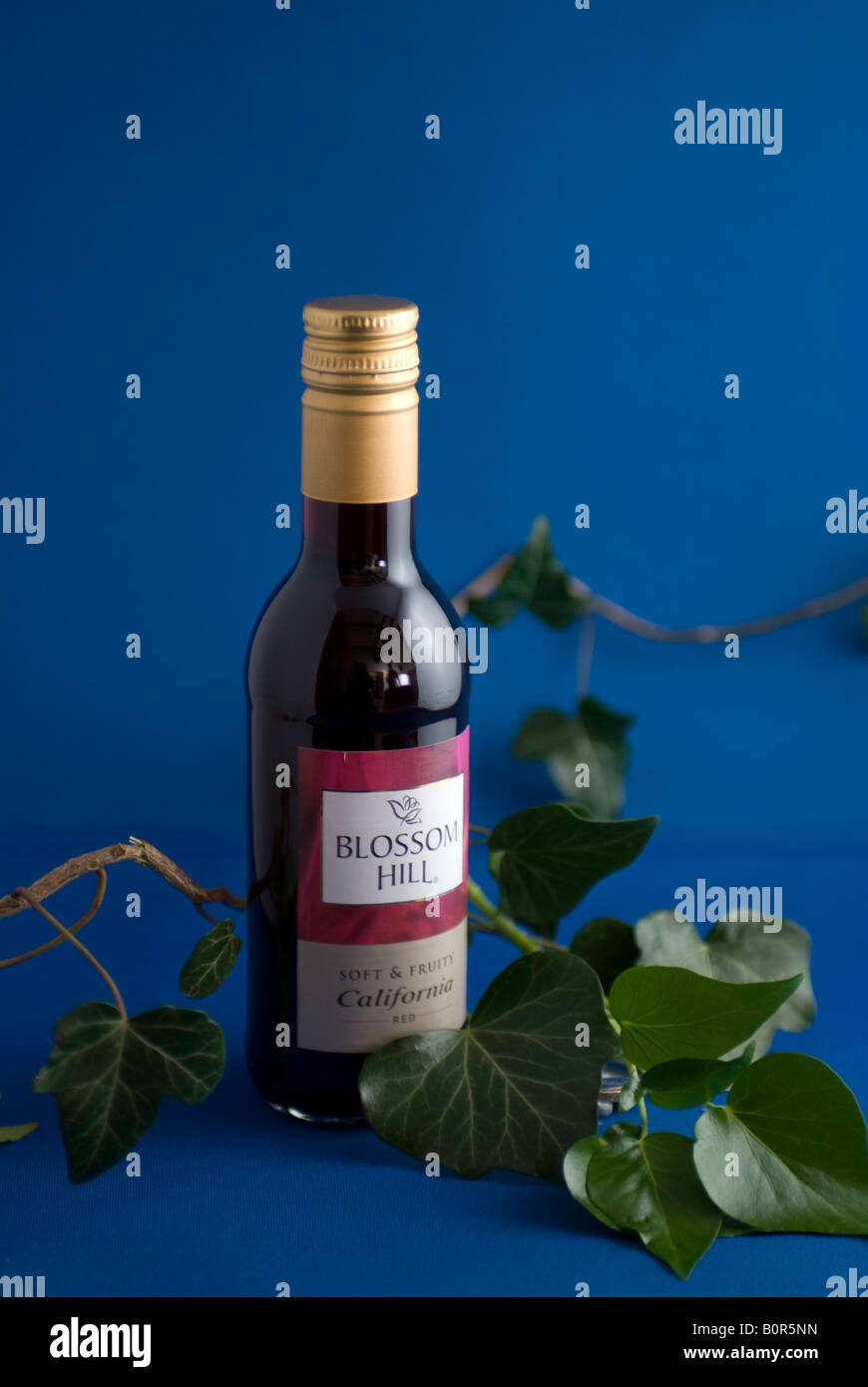 Red wine bottle display Stock Photo Alamy