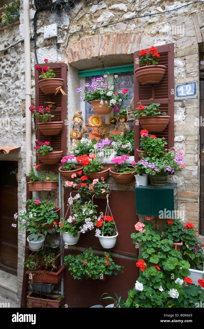 colourful pot plants outside house, vence, france Stock Photo Alamy