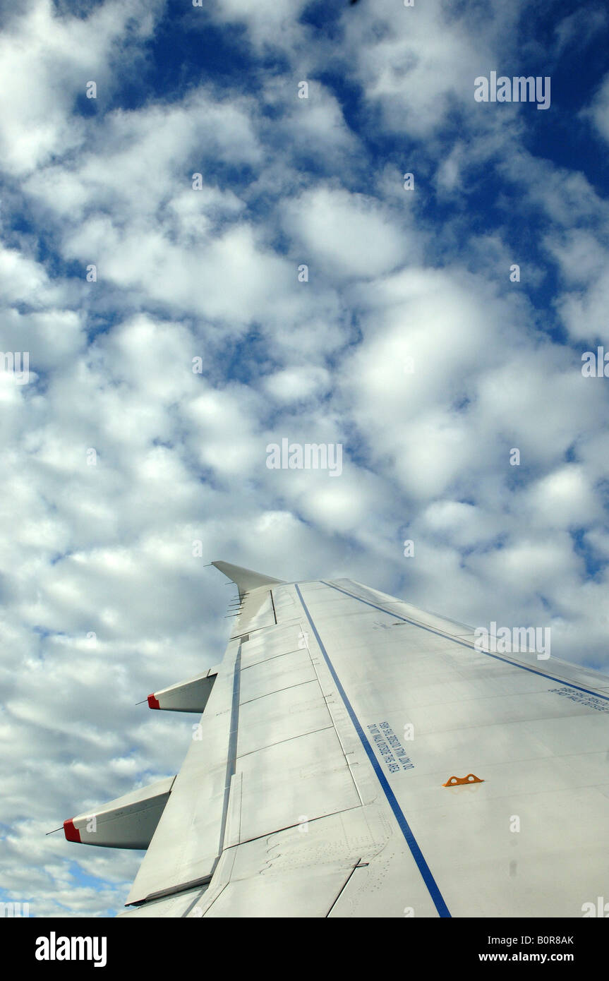 Cloud Bomber Jacket - Surfboard Blue Clouds