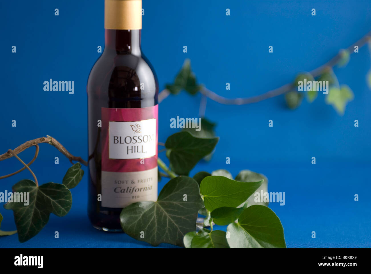 Red wine bottle display Stock Photo Alamy