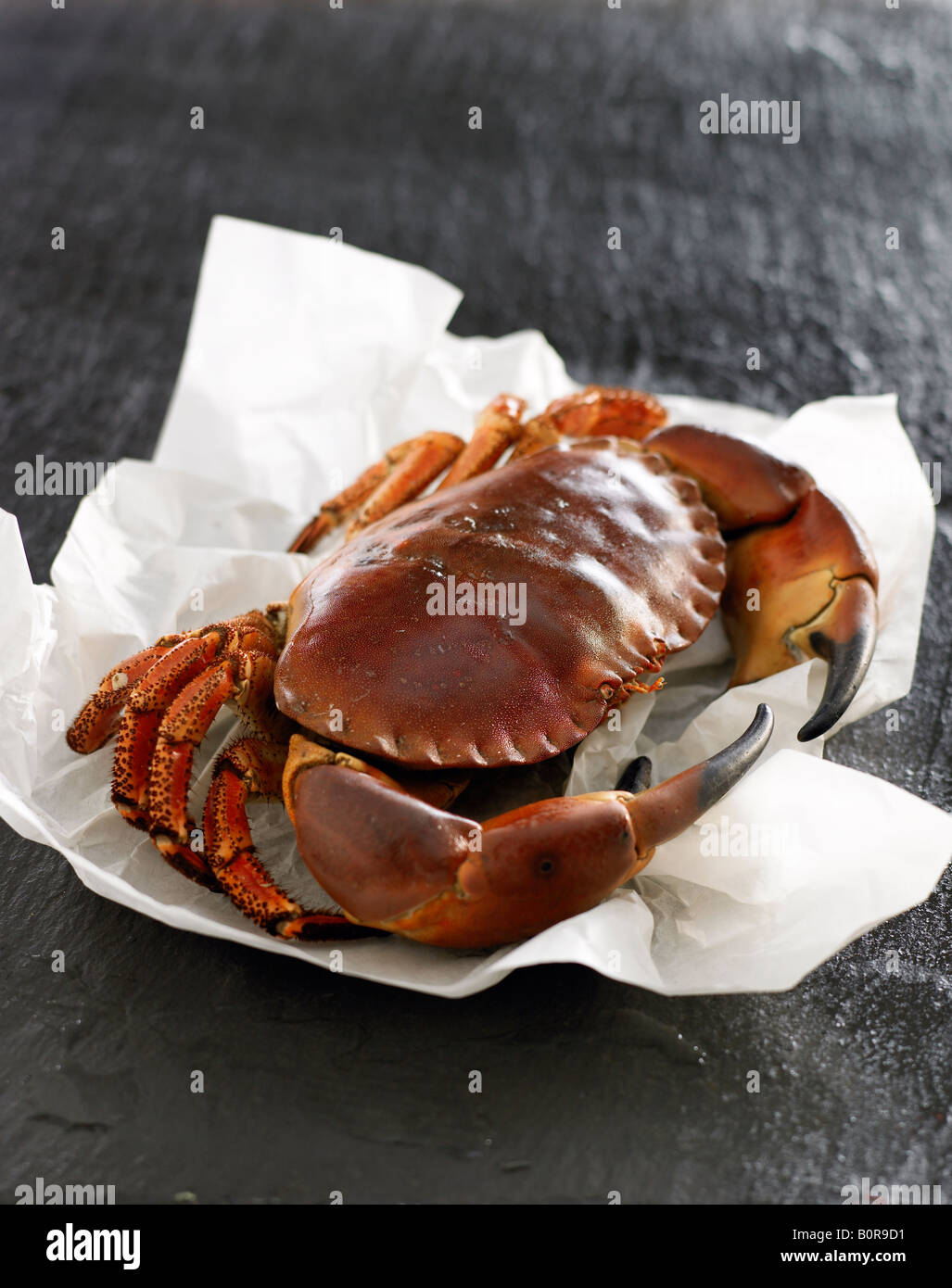 whole cooked crab wax paper slate background Stock Photo