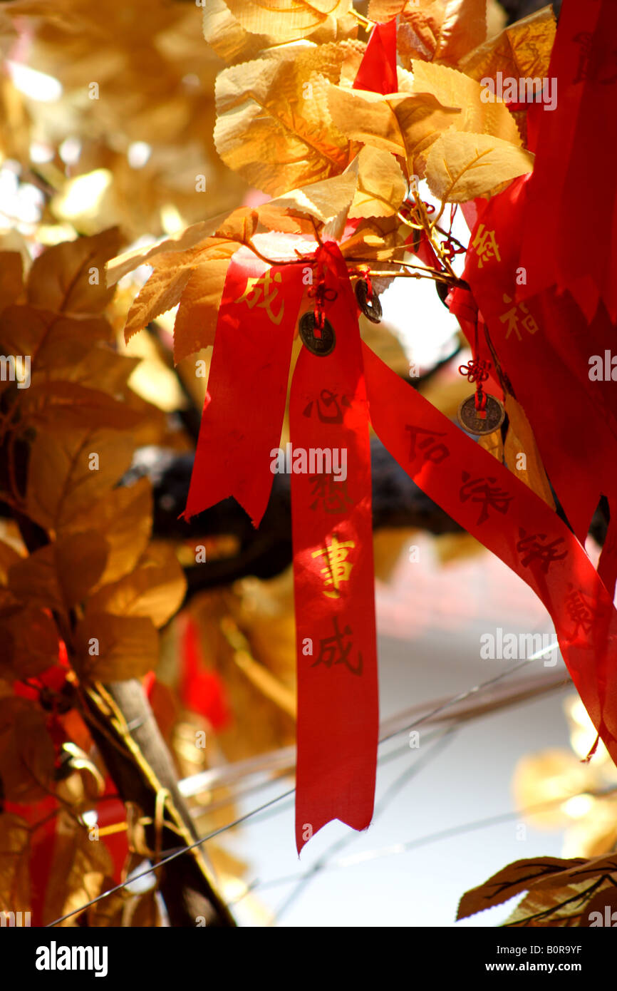 Chinese New Year wishing tree Stock Photo Alamy