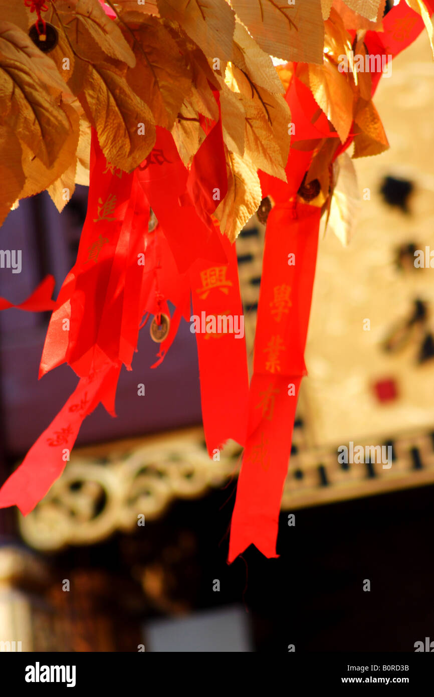 Chinese New Year wishing tree Stock Photo Alamy