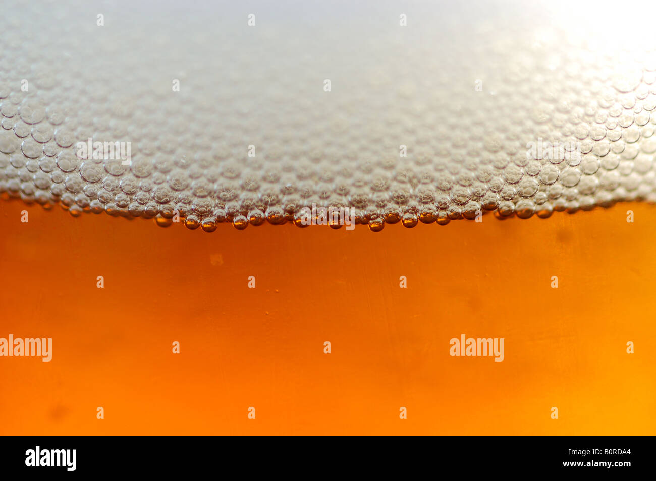 Bubbles in a pint of lager beer Stock Photo Alamy