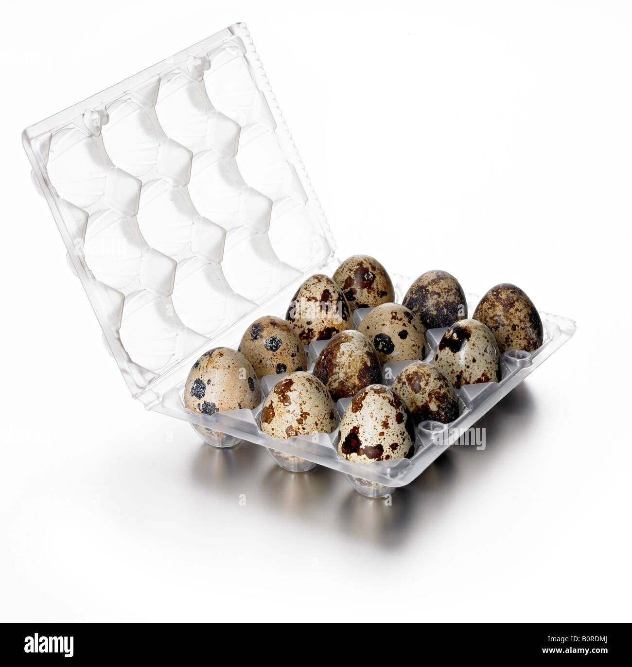 dozen quails eggs Stock Photo Alamy