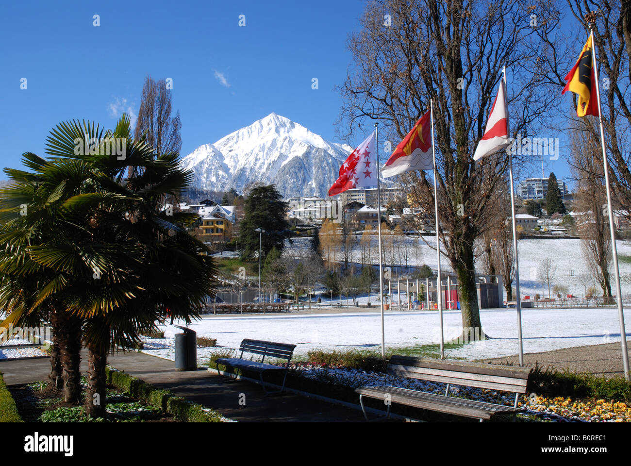 Town Spiez Mount Niesen winter Bernese Alps Switzerland Stock Photo