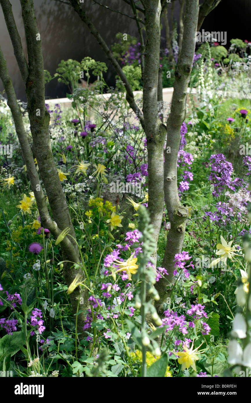 THE QVC GARDEN DESIGNERS SARAH PRICE PATRICK CLARKE PATRICK WYNNIATT