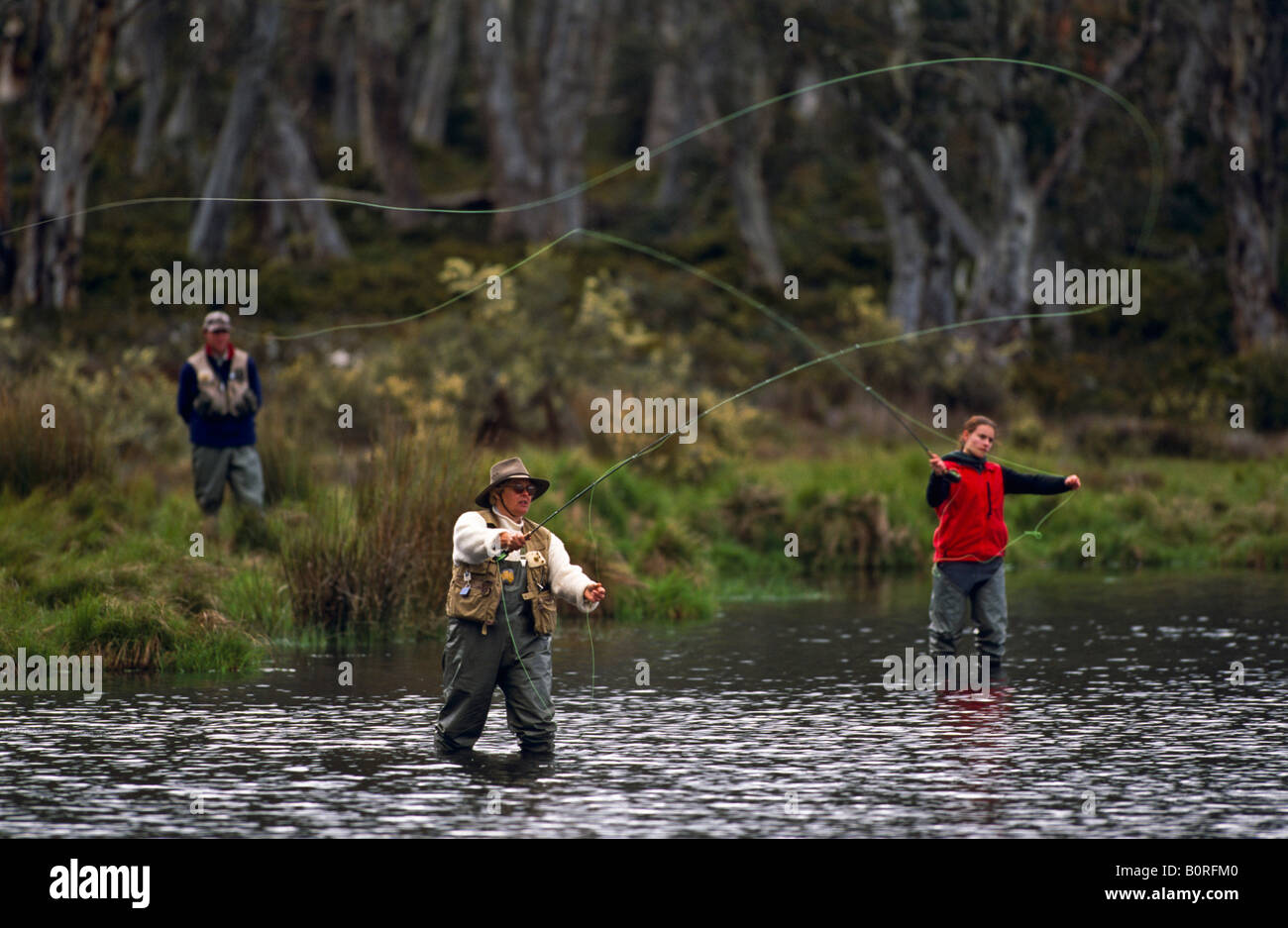 Fly fishing, Tasmania, Australia Stock Photo Alamy