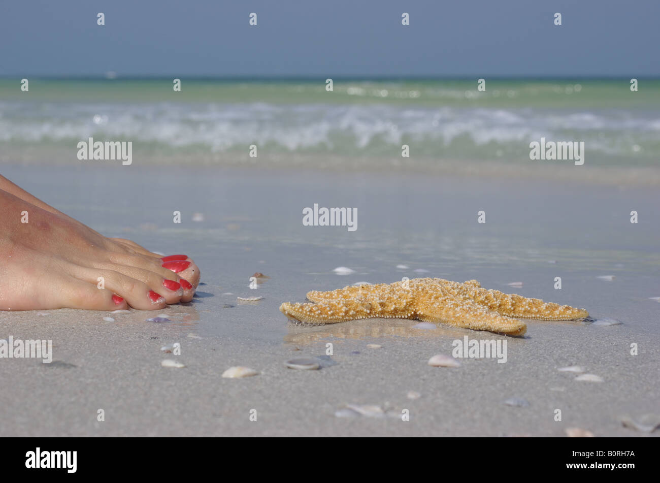 Starfish on the beach with woman s foot waves and sky in background Stock Photo