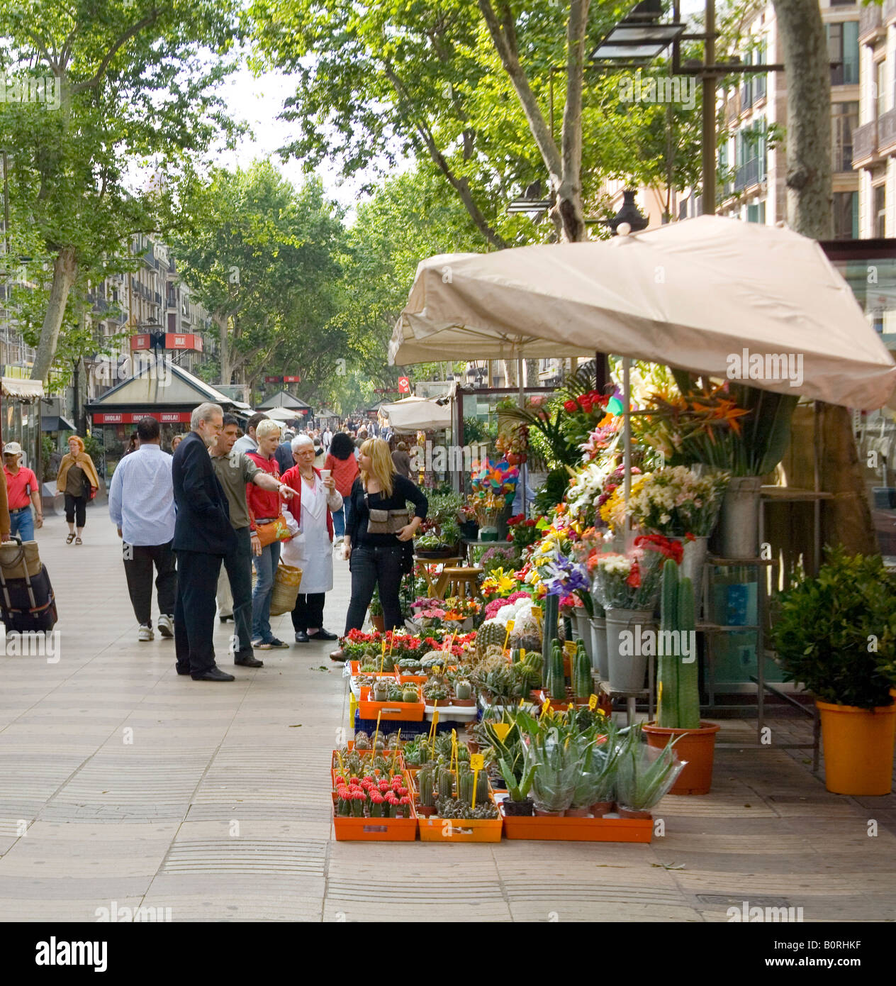Flower Stall in The Ramblas at Barcelona Spain Stock Photo