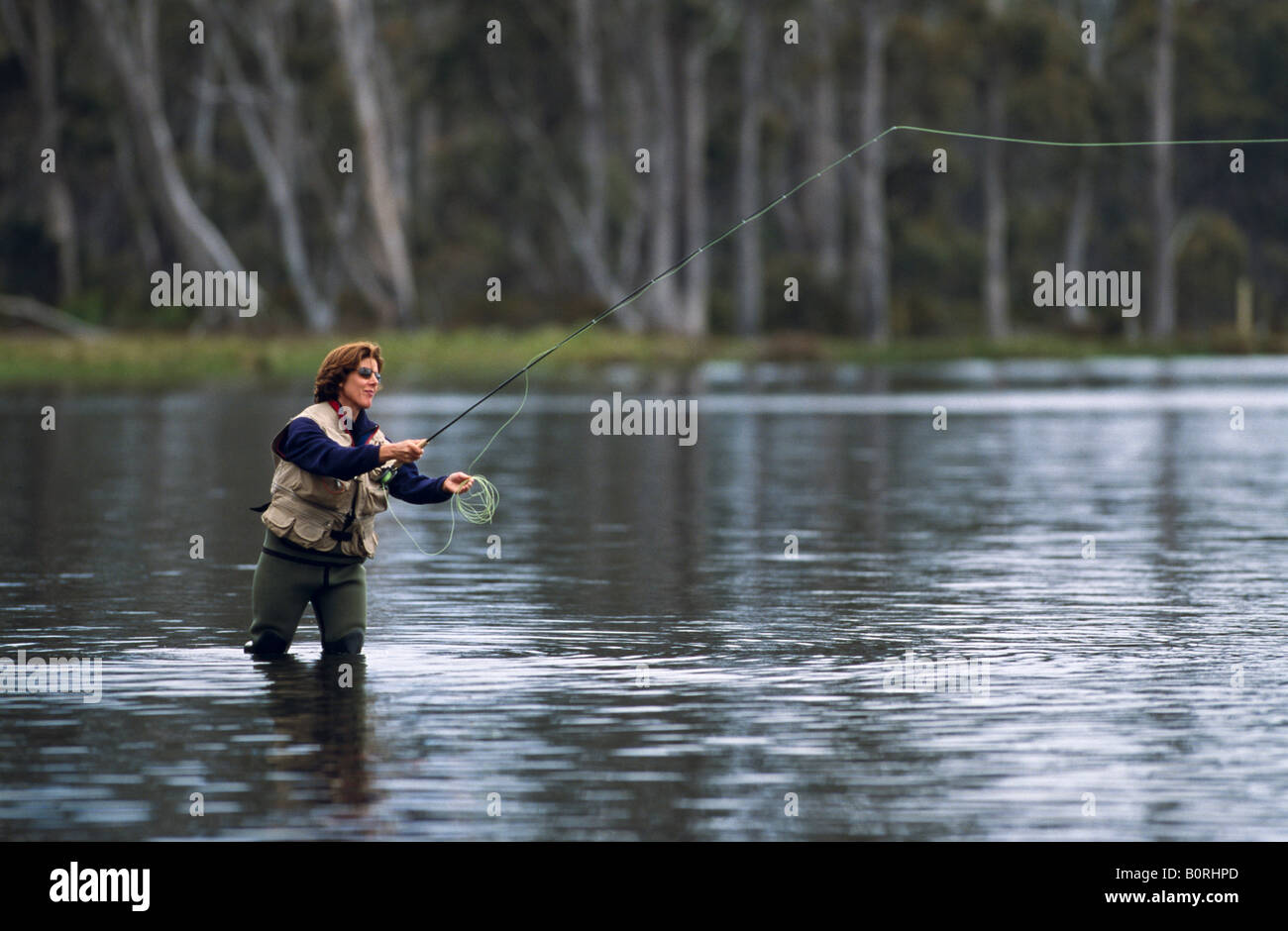 Fly fishing, Tasmania, Australia Stock Photo Alamy