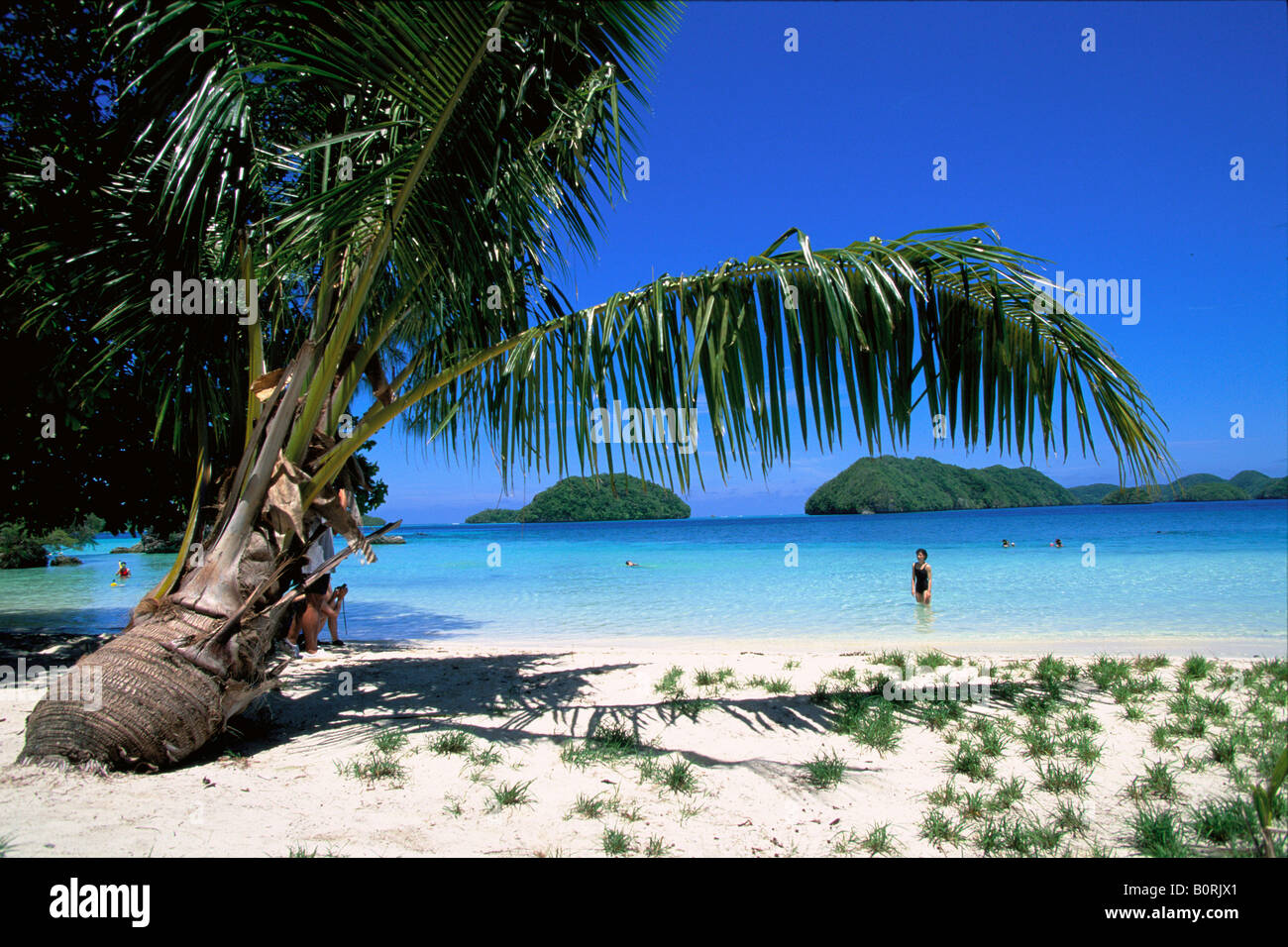Rock Island Palau Micronesia Stock Photo Alamy Rock Island Palau Micronesia Stock Photo Alamy
