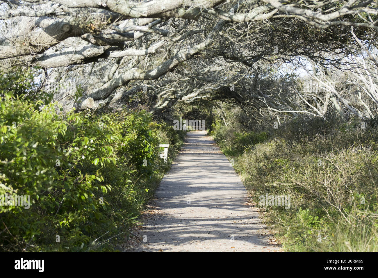 Wildlife trail, Pea Island National Wildlife Refuge Stock Photo Alamy