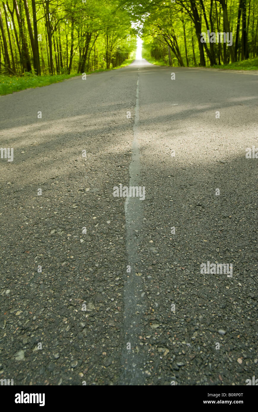 Asphalt road green forest hi-res stock photography and images - Alamy