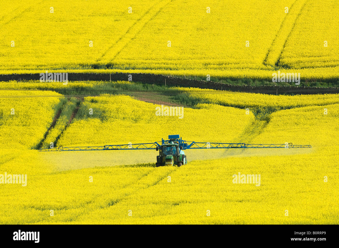 John Deere tractor spraying Oilseed Rape with herbicide from trailed