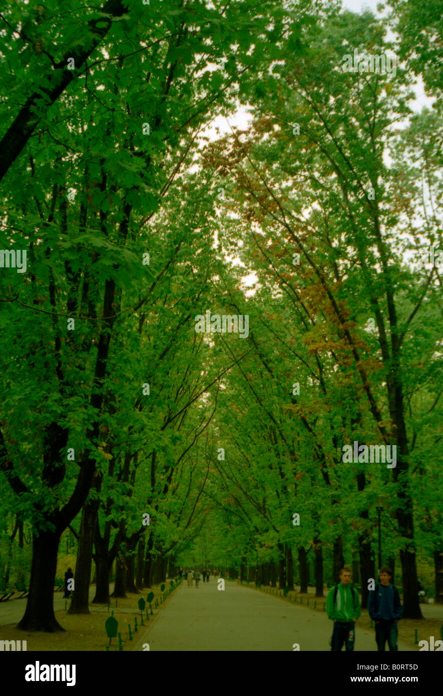 Under parkland walk hi-res stock photography and images - Alamy