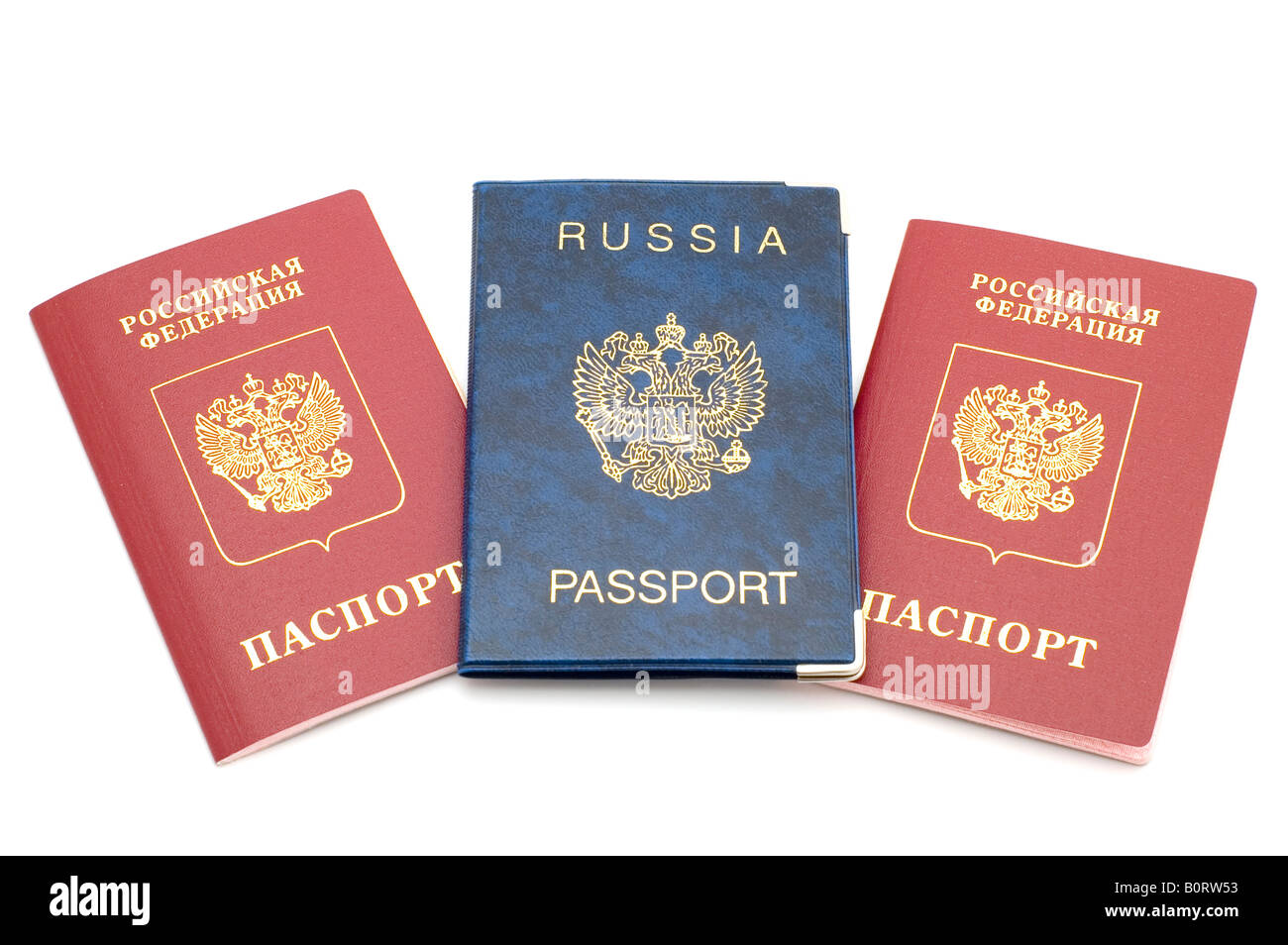 Internal passport. Паспорт РФ вектор. Российский паспорт эмиграция. Паспорт гражданина Индии. Паспорт арт.