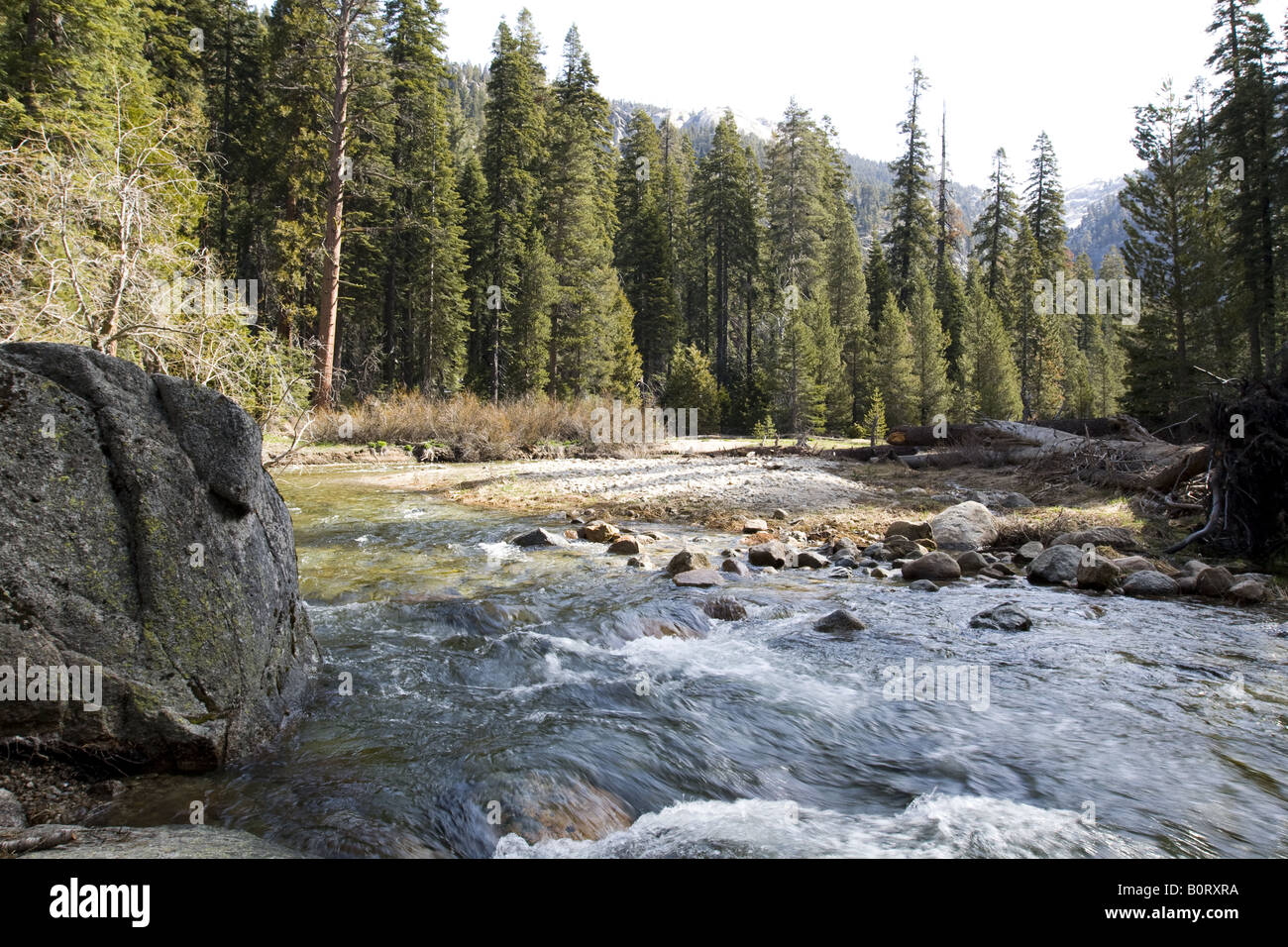 Kaweah River near Lodgepole, Sequoia National Park Stock Photo Alamy