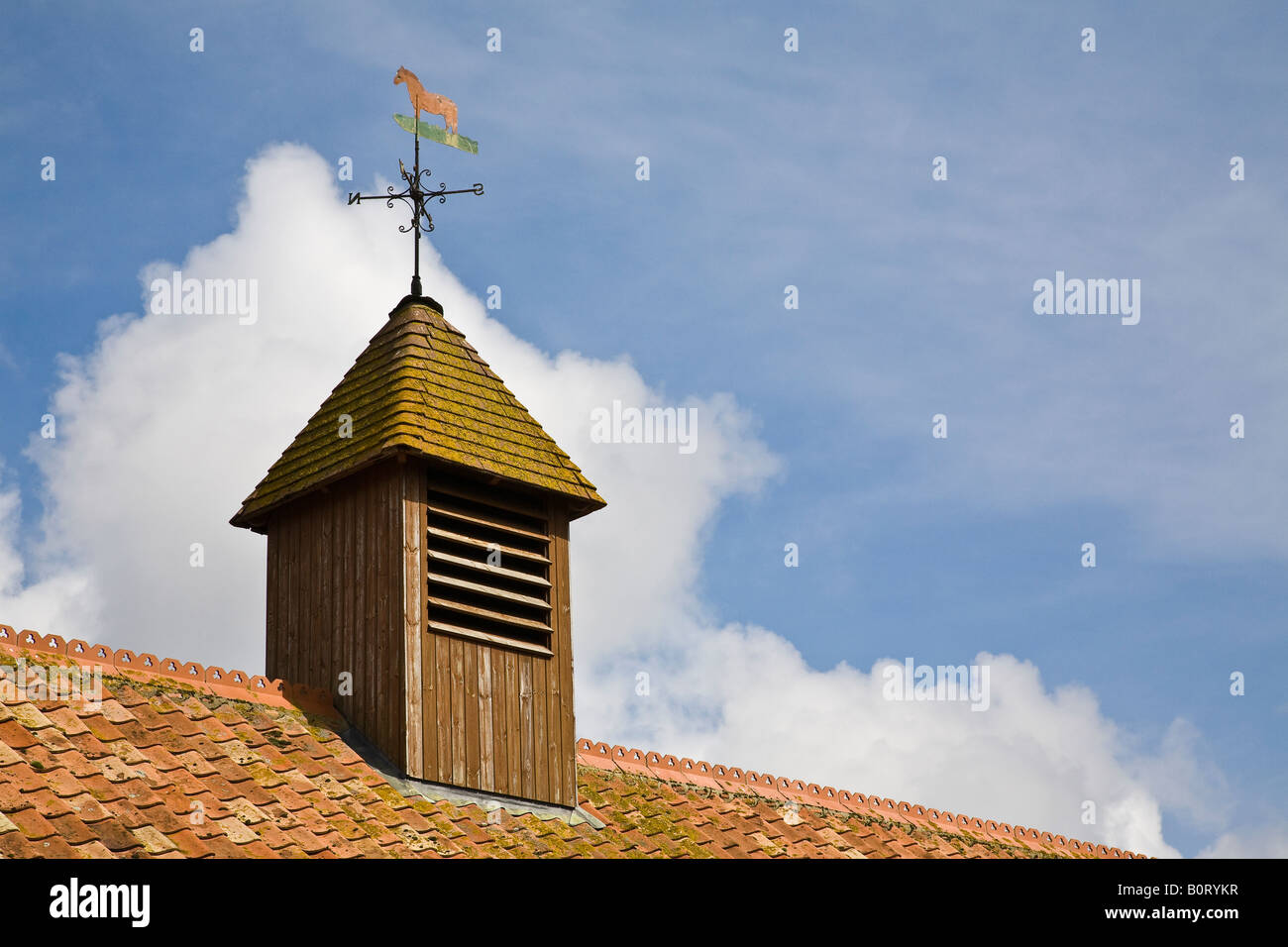 Weather vane on barn roof at Easton Farm Park, Suffolk, England Stock Photo