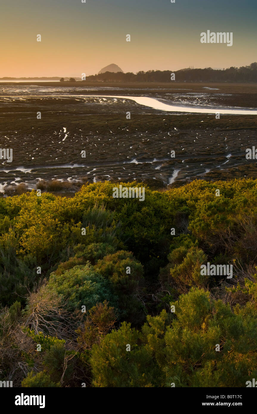 Sunset light on the Elfin Forest and the Morro Estuary Natural Preserve