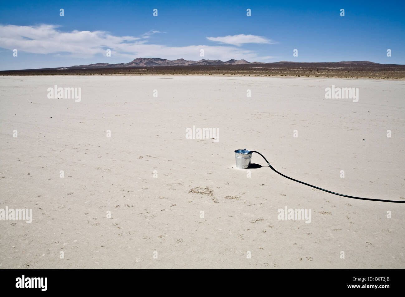 Bucket with a garden hose in the desert Stock Photo Alamy