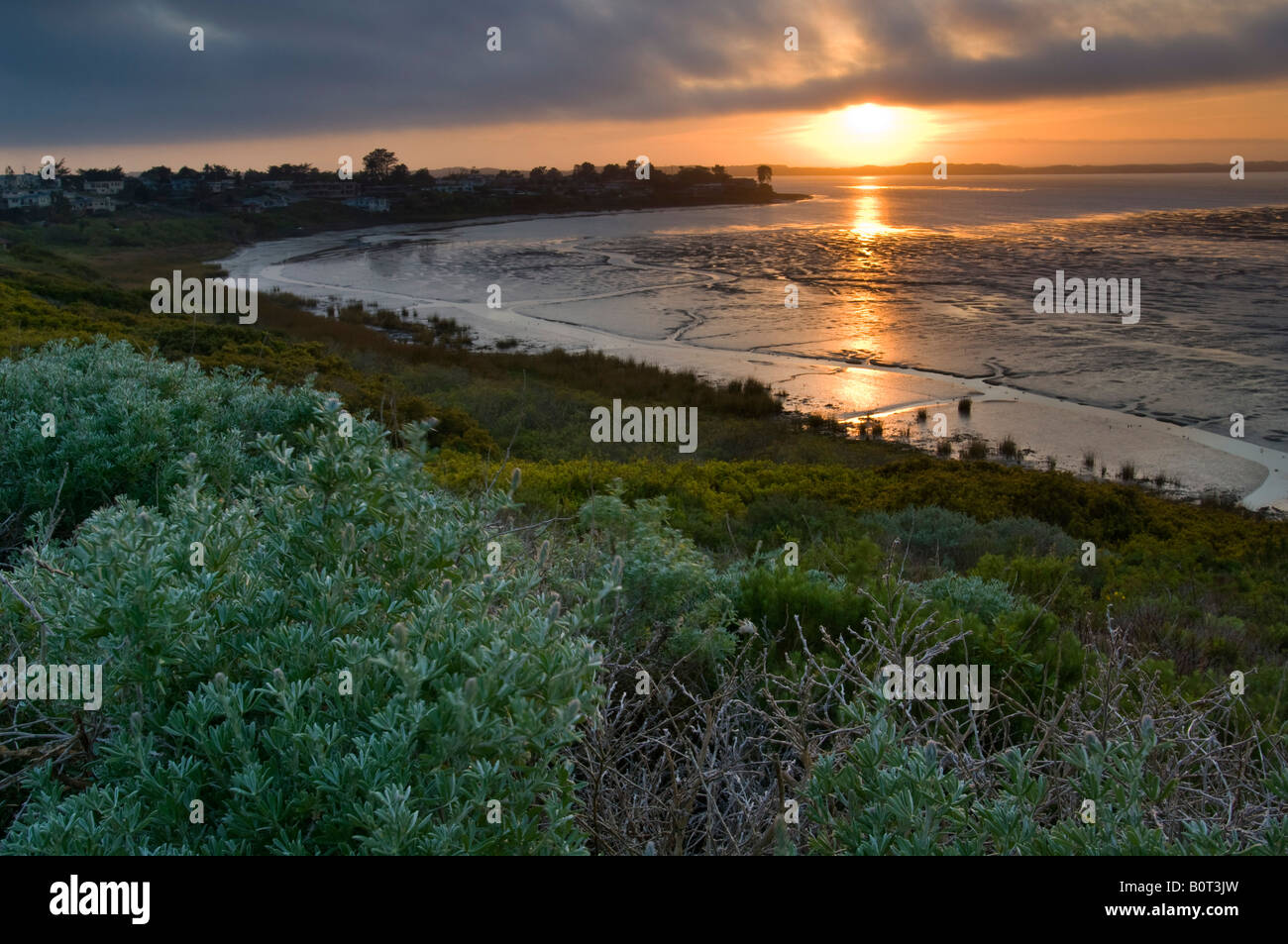 Fog at sunset over the Elfin Forest and tidal mud flats of Morro Bay California Stock Photo