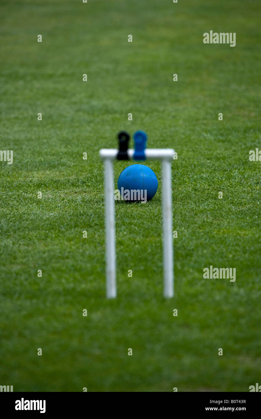 Croquet Pitch Duffryn House Gardens Stock Photo Alamy