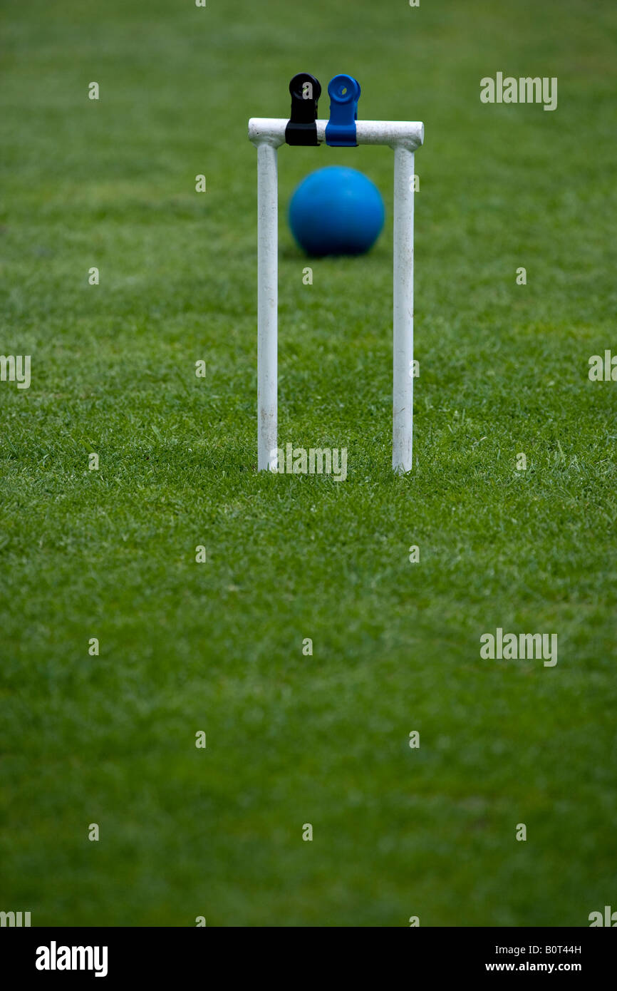 Croquet Pitch Duffryn House Gardens Stock Photo Alamy