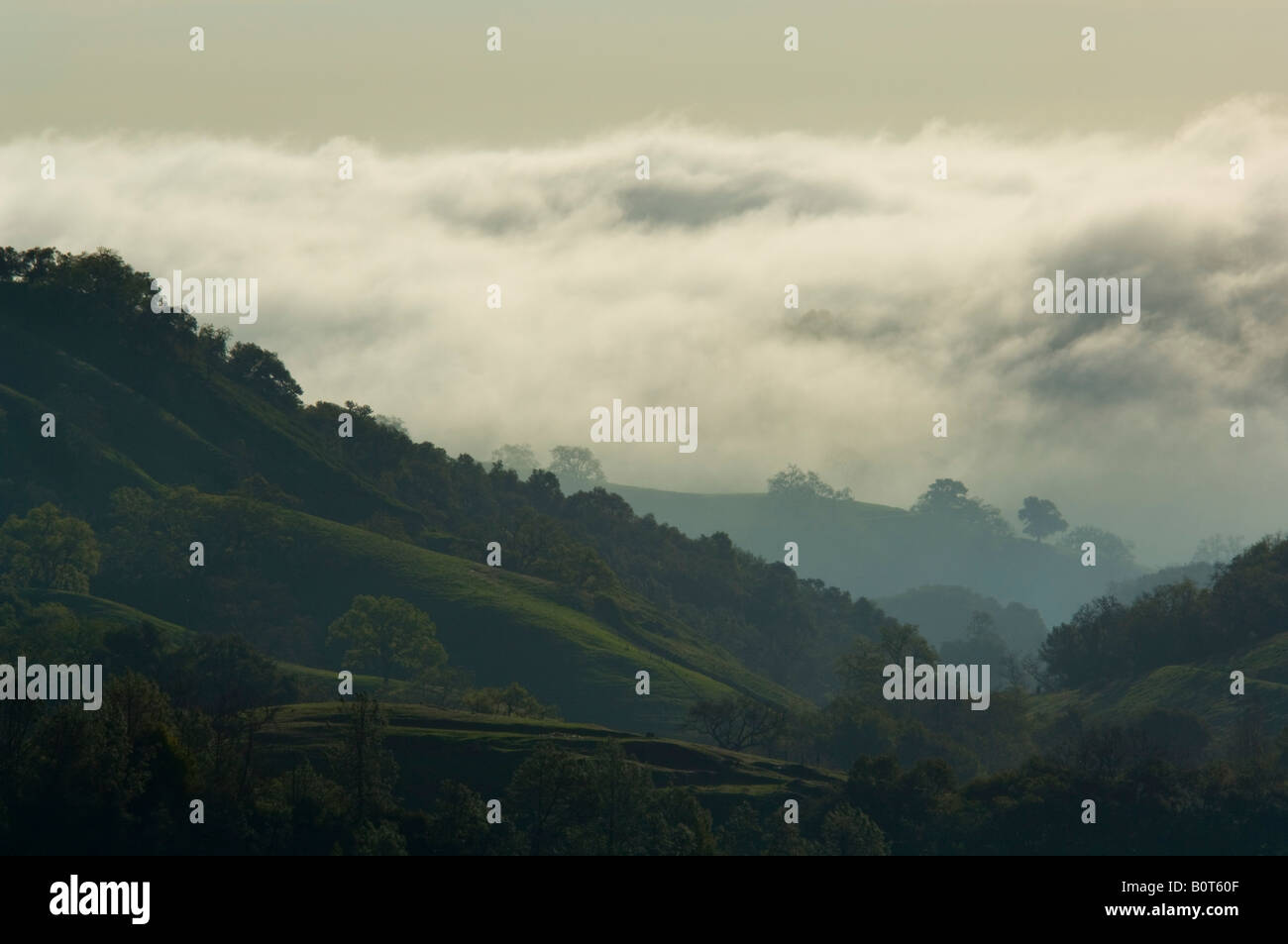 Fog in the hills near York Mountain near Templeton California Stock Photo