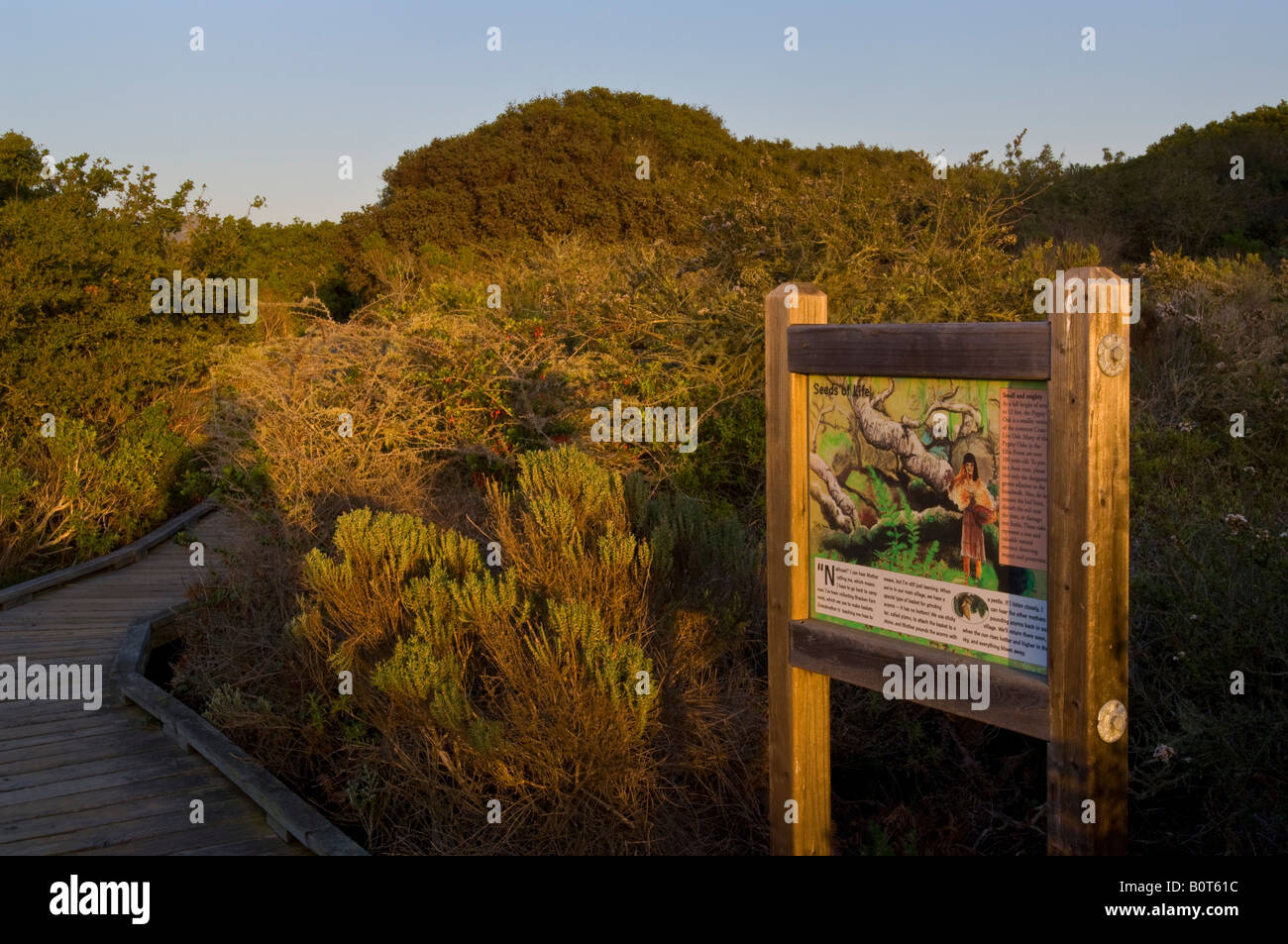 Educational sign along wooden boardwalk path through the El Moro Elfin Forest Natural Area Los Osos California Stock Photo