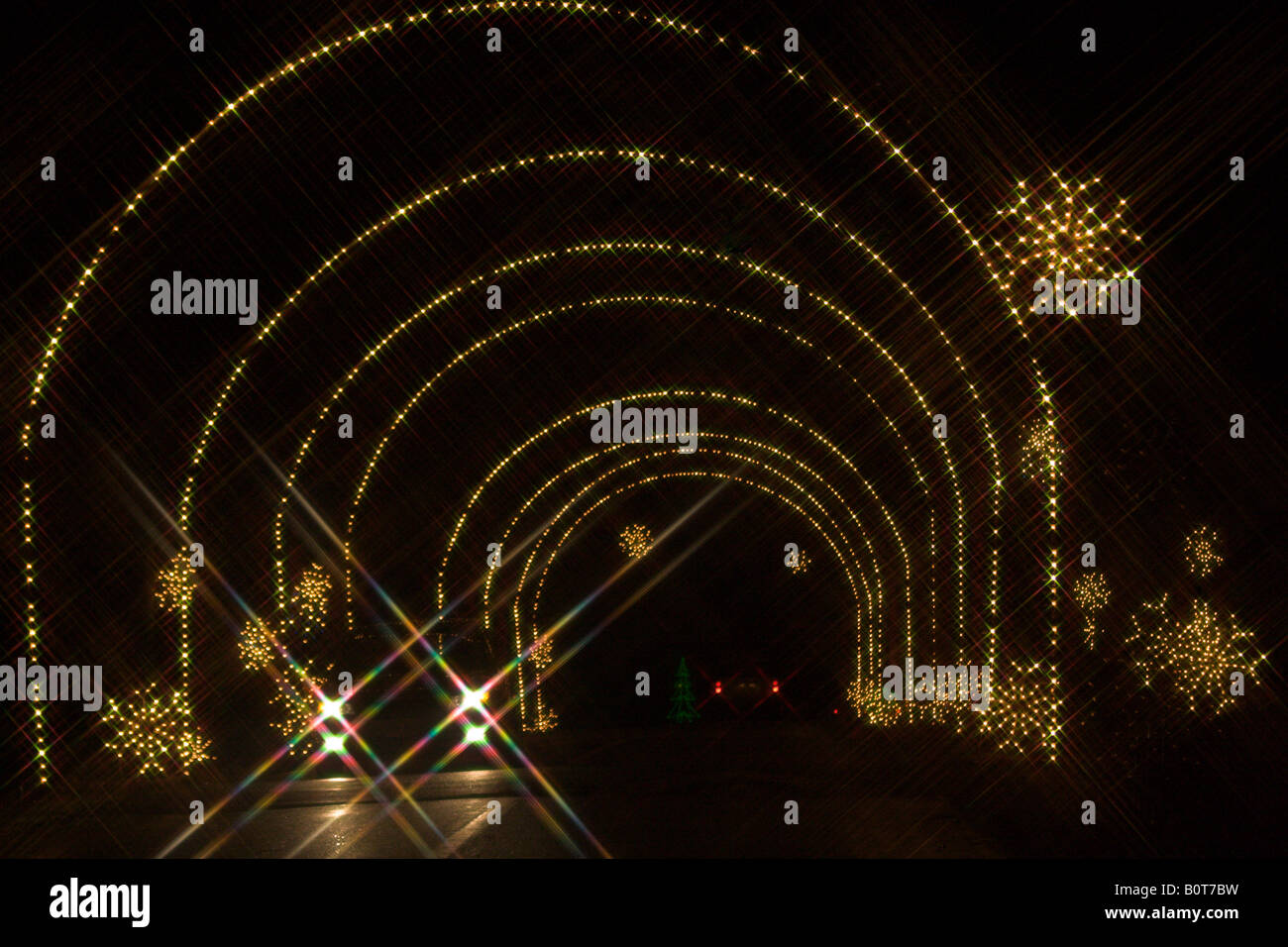 Photo of a section of the Winter Lights display at Seneca Creek State Park in Gaithersburg, Maryland. Stock Photo