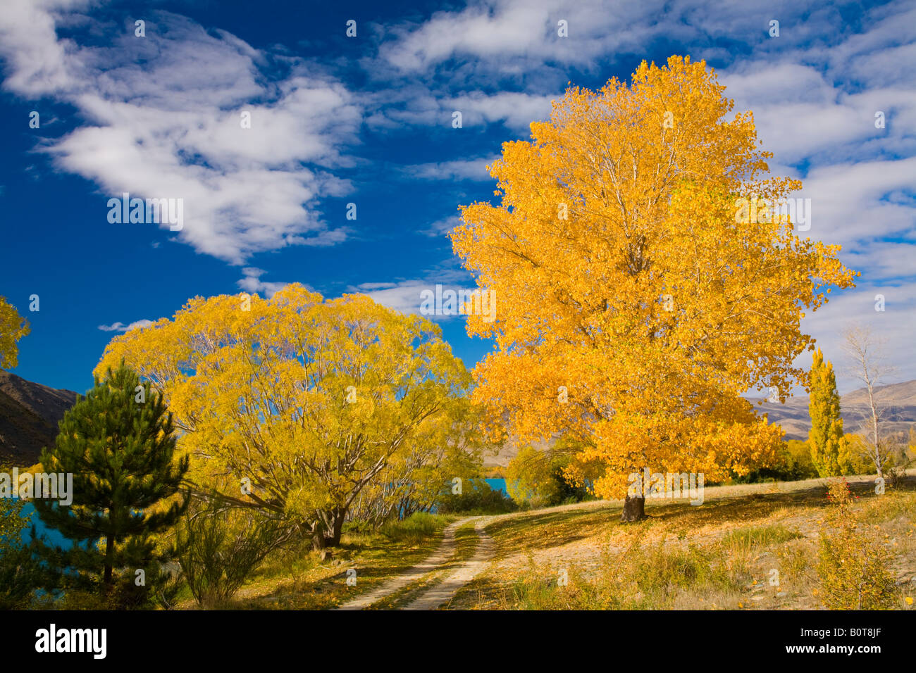 A autumnal scene in Central Otago, New Zealand Stock Photo