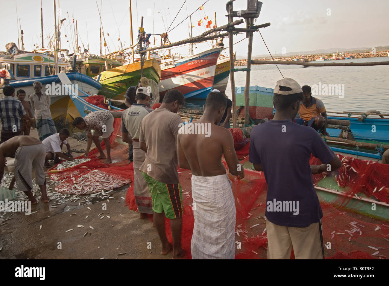 Fisherman sorting the catch at Mirissa fishing harbour, Sri Lanka which was rebuilt after the tsunami. Stock Photo