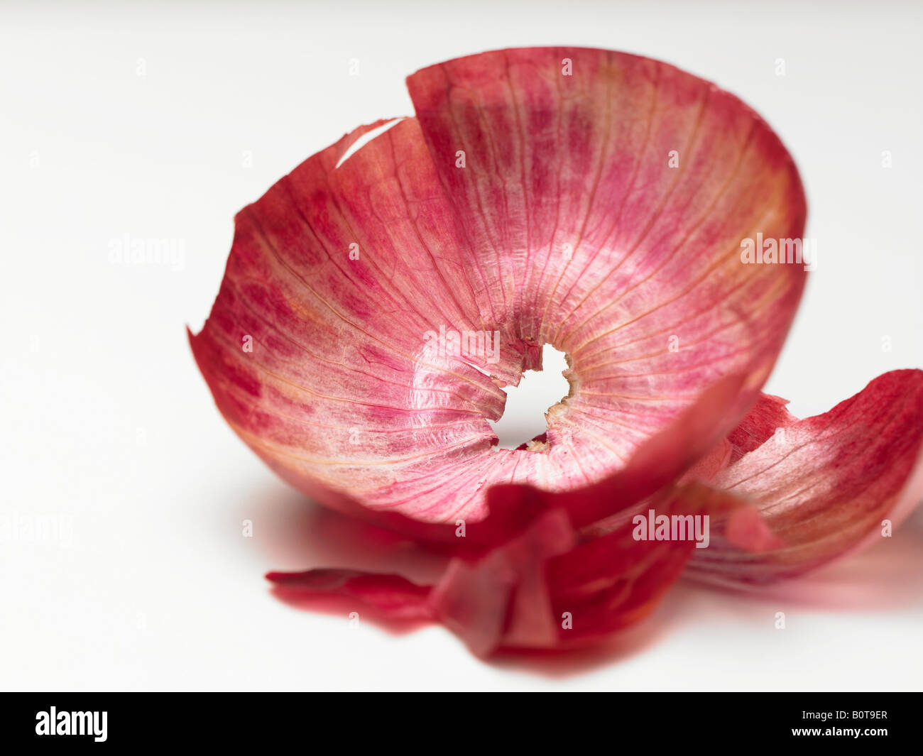 Onion skin abstract hi-res stock photography and images - Alamy